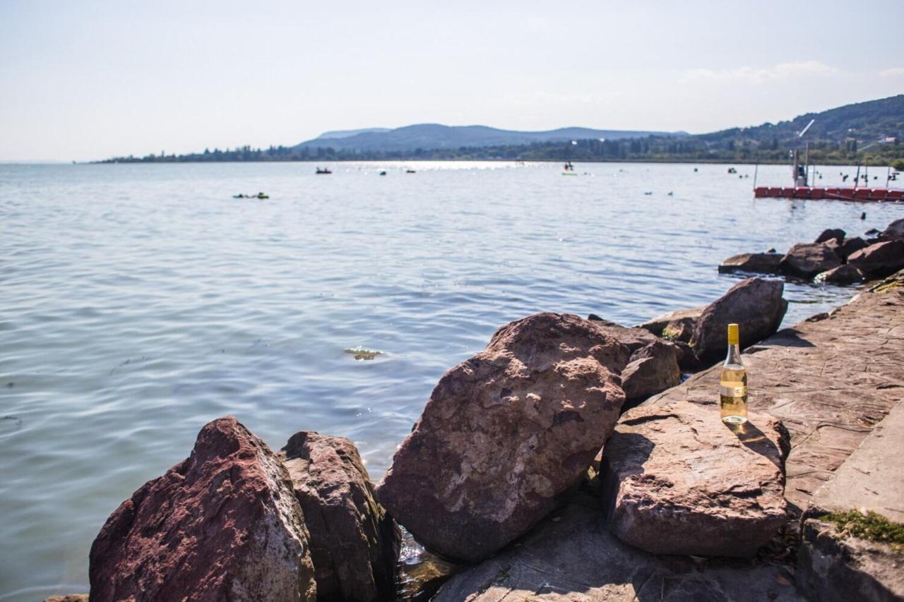 Balaton Wellness Tom Cat Nyaralo 1 Wellness Es 1 Gyermekbarat Apartmannal Kovagoors Eksteriør billede